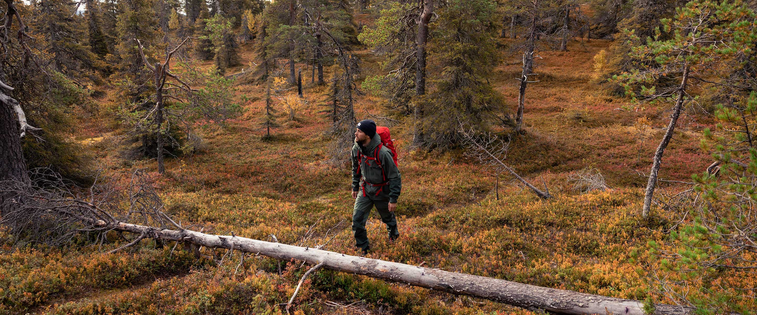 A person with a red backpack walks through a forest with sparse trees and autumn-colored ground cover, stepping over a fallen tree trunk.