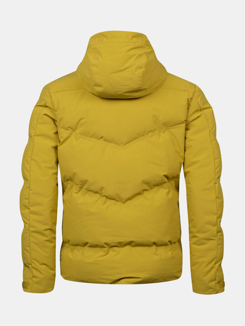 The Halti Nordic Arcty II Men's yellow ski jacket with hood and Arcty insulation, shown from the back on white.