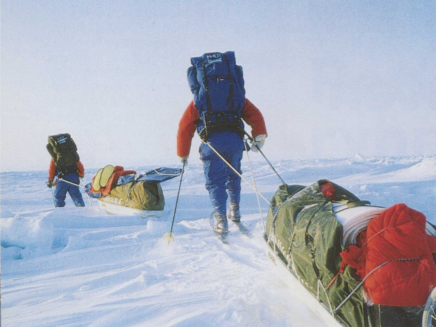 Halti new brand - History