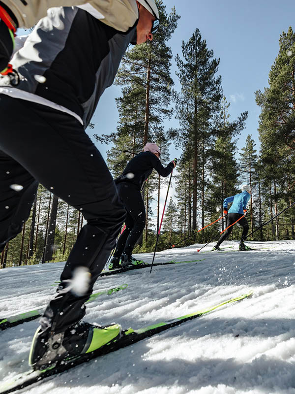 Three people cross-country skiing uphill on a snowy trail surrounded by pine trees under a clear blue sky. Snow is kicked up by their skis as they move forward.