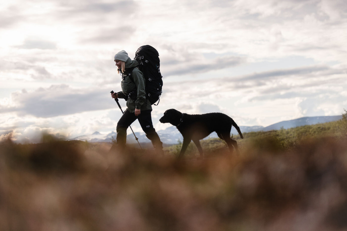 Hiker II DrymaxX Shell Pants Women's