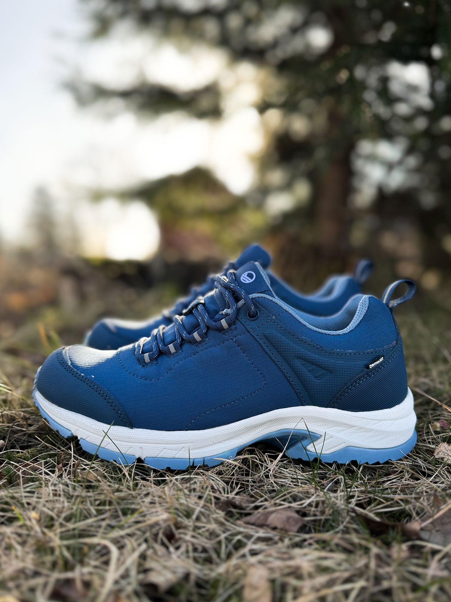 Halti Outdoor Shoes Low DX Women's in blue, with GripmaxX Antislip and white soles on dry grass, trees in background.